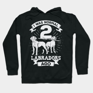 I Was Normal 2 Labradors Ago Dog Lover Gift Hoodie